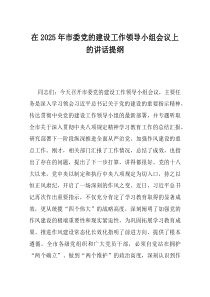 在2025年市委党的建设工作领导小组会议上的讲话提纲