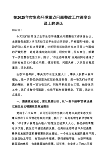 在2025年生态环境重点问题整改工作调度会议上的讲话（市级）