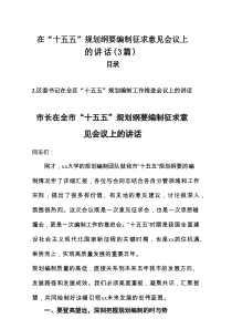 在“十五五”规划纲要编制征求意见会议上的讲话（3篇）