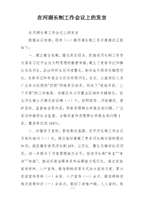 在河湖长制工作会议上的发言