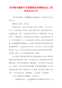 在涉粮问题集中反馈暨整改部署推进会上的表态发言公司