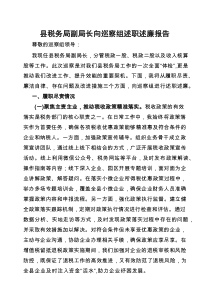 述职述廉报告（巡察专用）（县税务局副局长）
