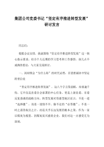 集团公司党委书记坚定有序推进转型发展研讨发言