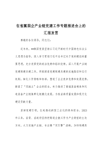 在省属国企产业链党建工作专题推进会上的汇报发言