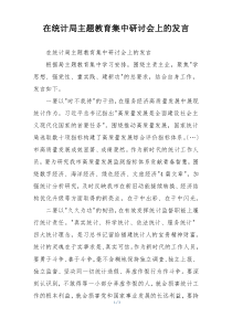 在统计局主题教育集中研讨会上的发言