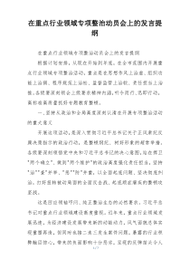 在重点行业领域专项整治动员会上的发言提纲