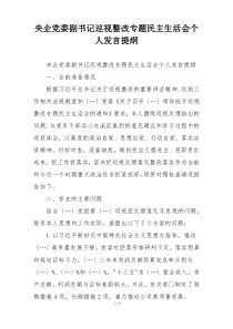 央企党委副书记巡视整改专题民主生活会个人发言提纲