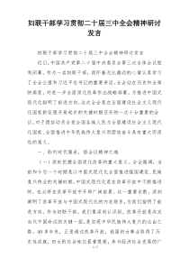 妇联干部学习贯彻二十届三中全会精神研讨发言