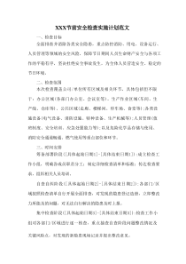 XXX节前安全检查实施计划范文
