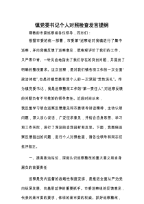 个人对照检查发言提纲（乡镇党委书记）