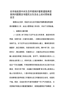 中央生态环境保护督察通报典型案例问题整改专题民主生活会对照检查发言（市委统战部）