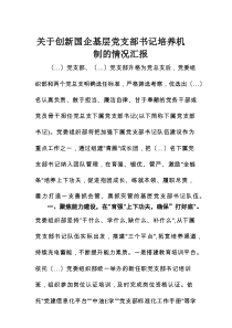 关于创新国企基层党支部书记培养机制的情况汇报