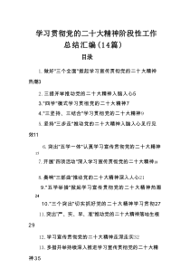 学习贯彻党的二十大精神阶段性工作总结-14篇