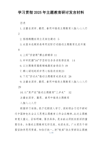 学习贯彻2025年主题教育研讨发言材料