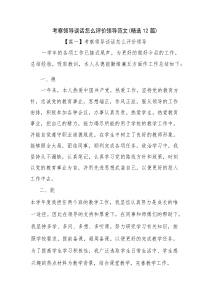 考察领导谈话怎么评价领导范文(精选12篇)
