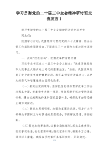 学习贯彻党的二十届三中全会精神研讨班交流发言1