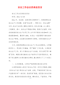 安全工作会议的表态发言