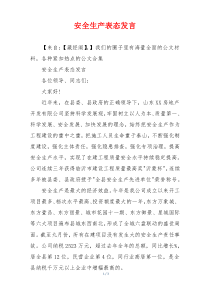 安全生产表态发言