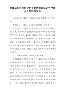审计局在巡回指导组主题教育总结评估座谈会上的汇报发言