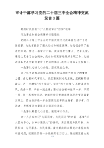 审计干部学习党的二十届三中全会精神交流发言3篇