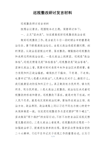 巡视整改研讨发言材料