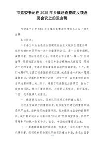 市党委书记在2025年乡镇巡查整改反馈意见会议上的发言稿