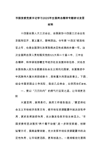 市国资委党委书记学习2025年全国两会精神专题研讨发言材料