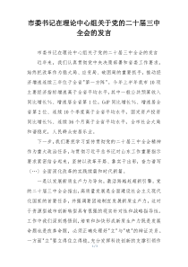 市委书记在理论中心组关于党的二十届三中全会的发言