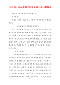2025年上半年党委书记抓党建工作述职报告