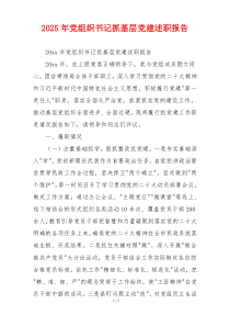 2025年党组织书记抓基层党建述职报告