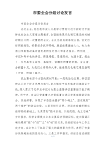 市委全会分组讨论发言