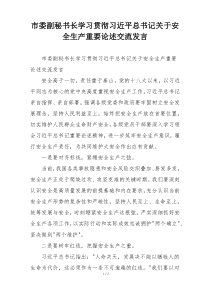 市委副秘书长学习贯彻习近平总书记关于安全生产重要论述交流发言