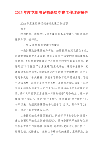 2025年度党组书记抓基层党建工作述职报告