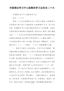 市委理论学习中心组集体学习会发言二十大