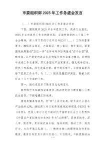市委组织部2025年工作务虚会发言