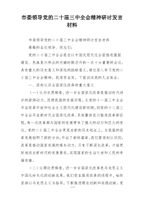 市委领导党的二十届三中全会精神研讨发言材料