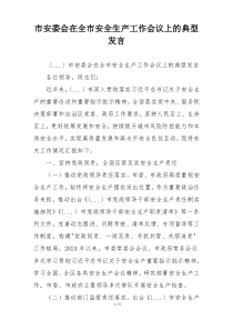 市安委会在全市安全生产工作会议上的典型发言