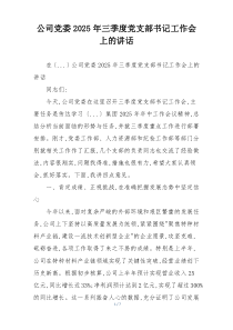 公司党委2025年三季度党支部书记工作会上的讲话
