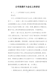 公司党委扩大会议上的讲话