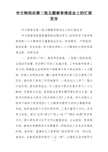 市文物局在第二批主题教育推进会上的汇报发言