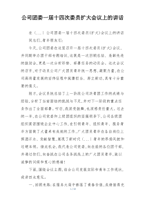 公司团委一届十四次委员扩大会议上的讲话