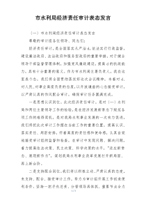 市水利局经济责任审计表态发言
