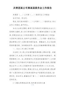 共青团某公司第某届委员会工作报告