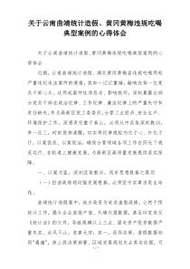 关于云南曲靖统计造假、黄冈黄梅违规吃喝典型案例的心得体会
