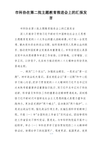 市科协在第二批主题教育推进会上的汇报发言