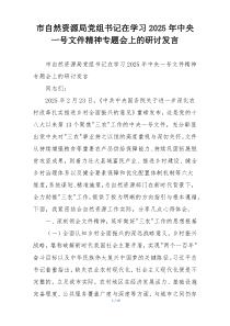 市自然资源局党组书记在学习2025年中央一号文件精神专题会上的研讨发言