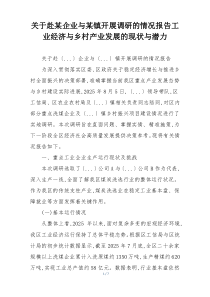 关于赴某企业与某镇开展调研的情况报告工业经济与乡村产业发展的现状与潜力