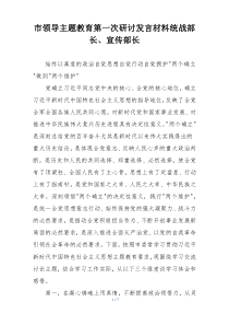 市领导主题教育第一次研讨发言材料统战部长、宣传部长