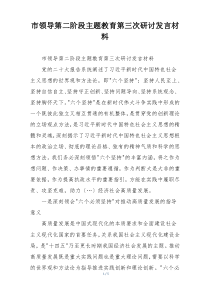 市领导第二阶段主题教育第三次研讨发言材料