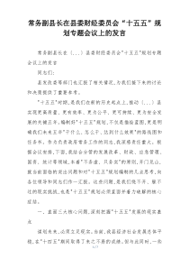 常务副县长在县委财经委员会“十五五”规划专题会议上的发言